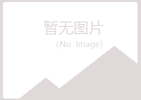 鹤山迎夏采矿有限公司